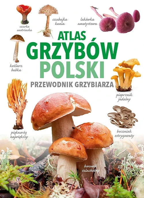 Okładka: Atlas grzybów Polski. Przewodnik grzybiarza