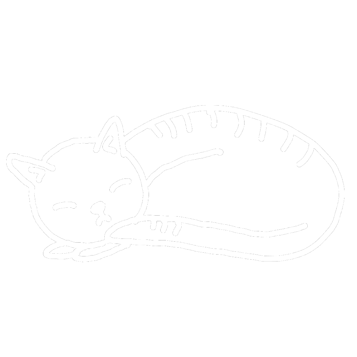 Okładka: Testowa książka